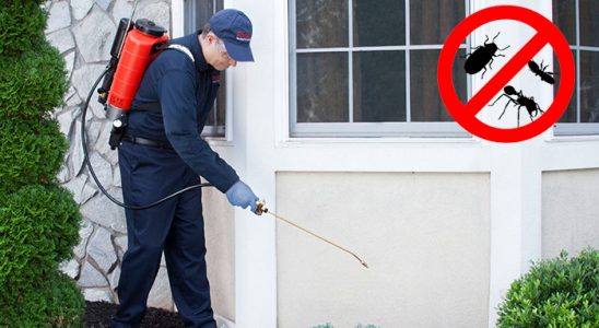Karesi Kemirgen İlaçlama böcek ilaçlama ve haşere kontrolü — ilaclama-tr.com
